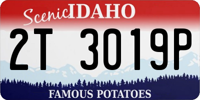 ID license plate 2T3019P
