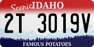 ID license plate 2T3019V