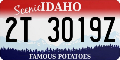 ID license plate 2T3019Z