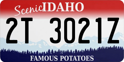ID license plate 2T3021Z