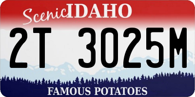 ID license plate 2T3025M