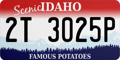 ID license plate 2T3025P