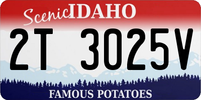 ID license plate 2T3025V