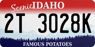 ID license plate 2T3028K