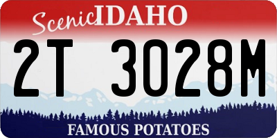 ID license plate 2T3028M