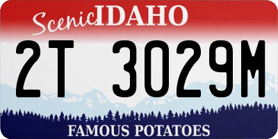 ID license plate 2T3029M