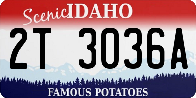 ID license plate 2T3036A