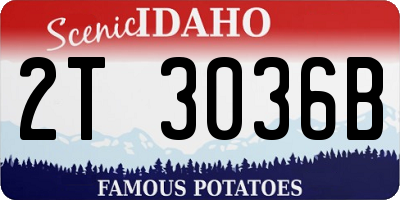 ID license plate 2T3036B