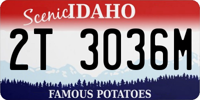 ID license plate 2T3036M