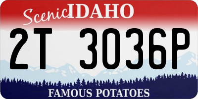 ID license plate 2T3036P