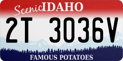 ID license plate 2T3036V