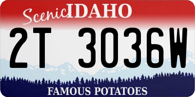ID license plate 2T3036W