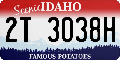 ID license plate 2T3038H