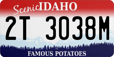ID license plate 2T3038M