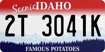 ID license plate 2T3041K