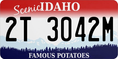 ID license plate 2T3042M