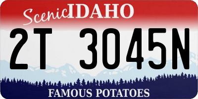ID license plate 2T3045N