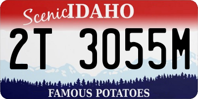 ID license plate 2T3055M