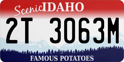 ID license plate 2T3063M
