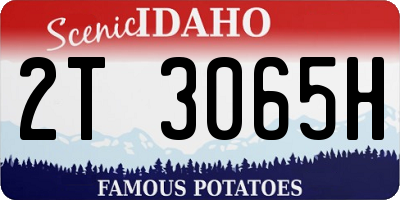 ID license plate 2T3065H