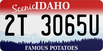 ID license plate 2T3065U