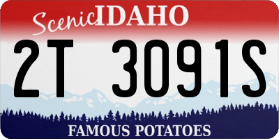 ID license plate 2T3091S