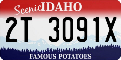 ID license plate 2T3091X