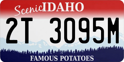 ID license plate 2T3095M