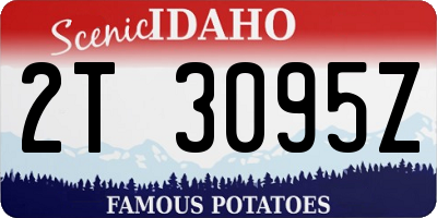 ID license plate 2T3095Z