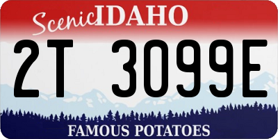ID license plate 2T3099E