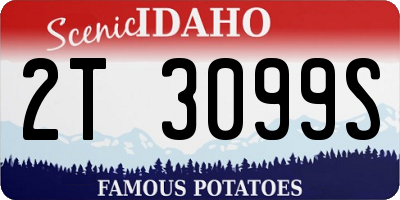 ID license plate 2T3099S