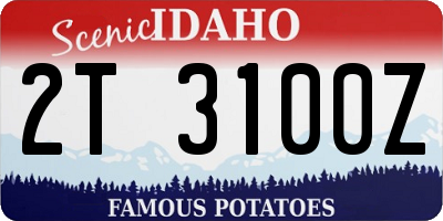 ID license plate 2T3100Z