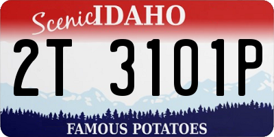 ID license plate 2T3101P