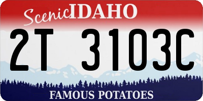 ID license plate 2T3103C
