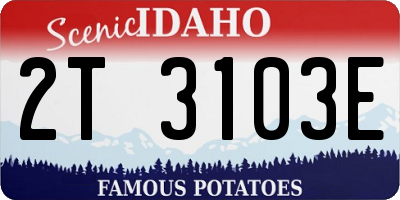 ID license plate 2T3103E