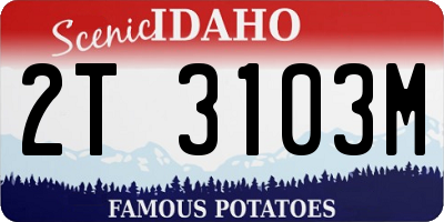 ID license plate 2T3103M