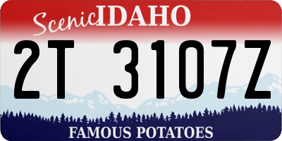 ID license plate 2T3107Z