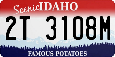 ID license plate 2T3108M