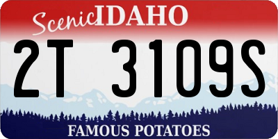 ID license plate 2T3109S