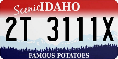 ID license plate 2T3111X