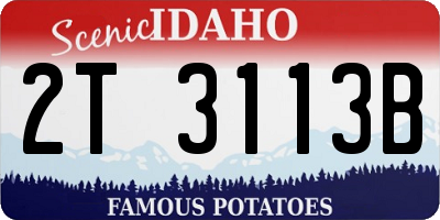 ID license plate 2T3113B