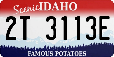 ID license plate 2T3113E
