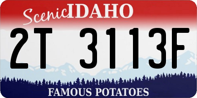 ID license plate 2T3113F