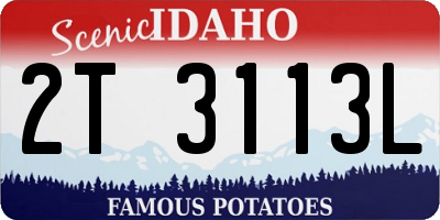 ID license plate 2T3113L