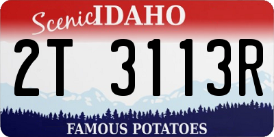 ID license plate 2T3113R