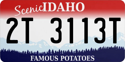 ID license plate 2T3113T