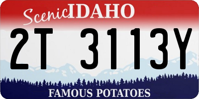 ID license plate 2T3113Y