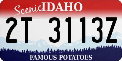 ID license plate 2T3113Z