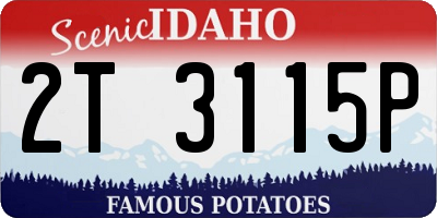 ID license plate 2T3115P