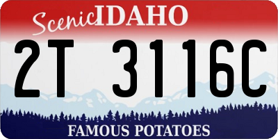 ID license plate 2T3116C
